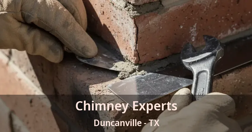 Chimney Experts Duncanville - TX