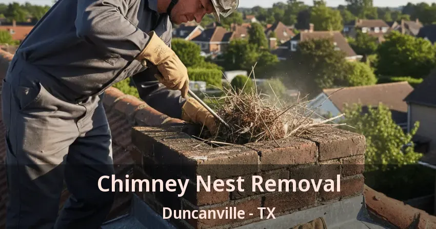 Chimney Nest Removal Duncanville - TX