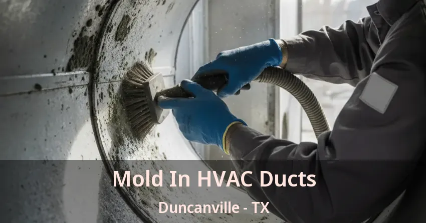 Mold In HVAC Ducts Duncanville - TX